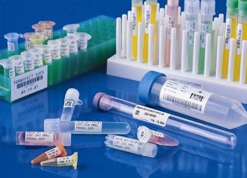 1536827638408781.jpg 醫(yī)用標簽.jpg